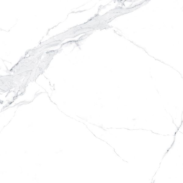 Керамограніт Teo Ceramics (Allore) | Avenzo Silver F P 600x600x8 R Satin 1 60131240 фото