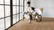 Ламінат Kaindl | K2391 Oak Brera Nature EG Epic Grain 1383 x 193 mm 8.5 mm 18676 фото 2