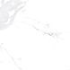 Керамограніт Teo Ceramics (Allore) | Avenzo Silver F P 600x600x8 R Satin 1 60131240 фото 4