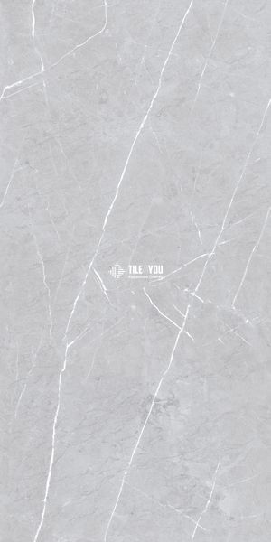 Керамограніт Netto Ceramika | Sterling Grey Polished 600x1200 19010 фото