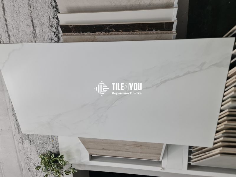 Керамограніт Ecoceramic | Marshall White Mat 60x120 017 12601 фото