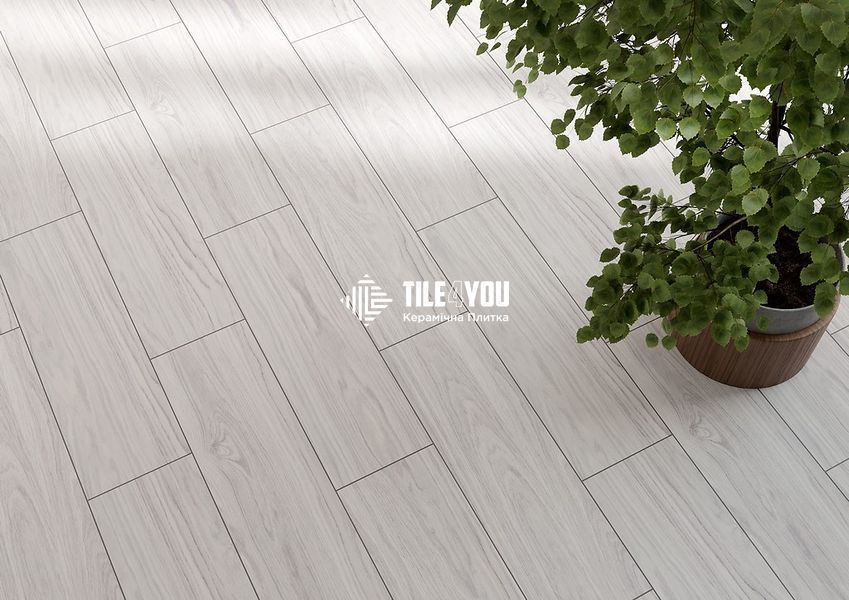 Плитка під дерево Cersanit | Sunsetwood light grey 18,5x59,8 19936 фото